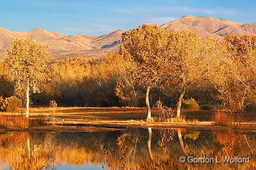 Bosque del Apache_73471.jpg - Photographed in the Bosque del Apache National Wildlife Refuge near San Antonio, New Mexico USA. 